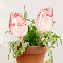 Load image into Gallery viewer, Self-Watering Tulip Globes - Image 5