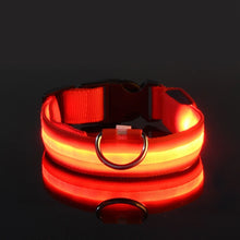 Load image into Gallery viewer, Nylon LED Dog Collar - Image 5