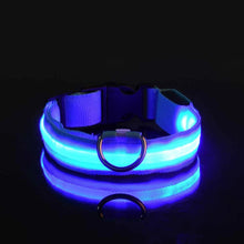 Load image into Gallery viewer, Nylon LED Dog Collar - Image 4