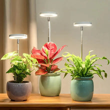 Load image into Gallery viewer, Halo LED Grow Lights - Image 1