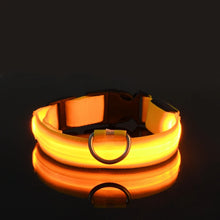 Load image into Gallery viewer, Nylon LED Dog Collar - Image 8