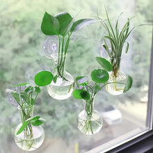 Load image into Gallery viewer, Window Hydroponic Vase - Image 2