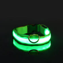 Load image into Gallery viewer, Nylon LED Dog Collar - Image 9