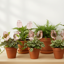 Load image into Gallery viewer, Self-Watering Tulip Globes
