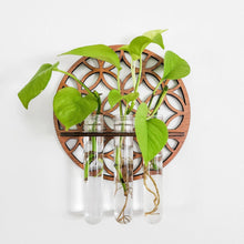 Load image into Gallery viewer, Wall-Mounted Propagation Station - Image 2
