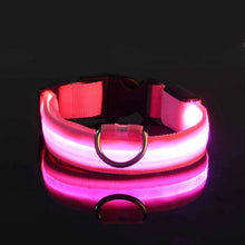 Load image into Gallery viewer, Nylon LED Dog Collar - Image 3
