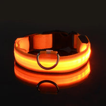 Load image into Gallery viewer, Nylon LED Dog Collar - Image 7
