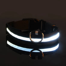 Load image into Gallery viewer, Nylon LED Dog Collar - Image 6
