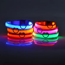 Load image into Gallery viewer, Nylon LED Dog Collar - Image 2
